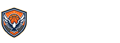 NBA直播
